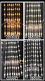 OSRAM LED Light Bar-2700k-6500k